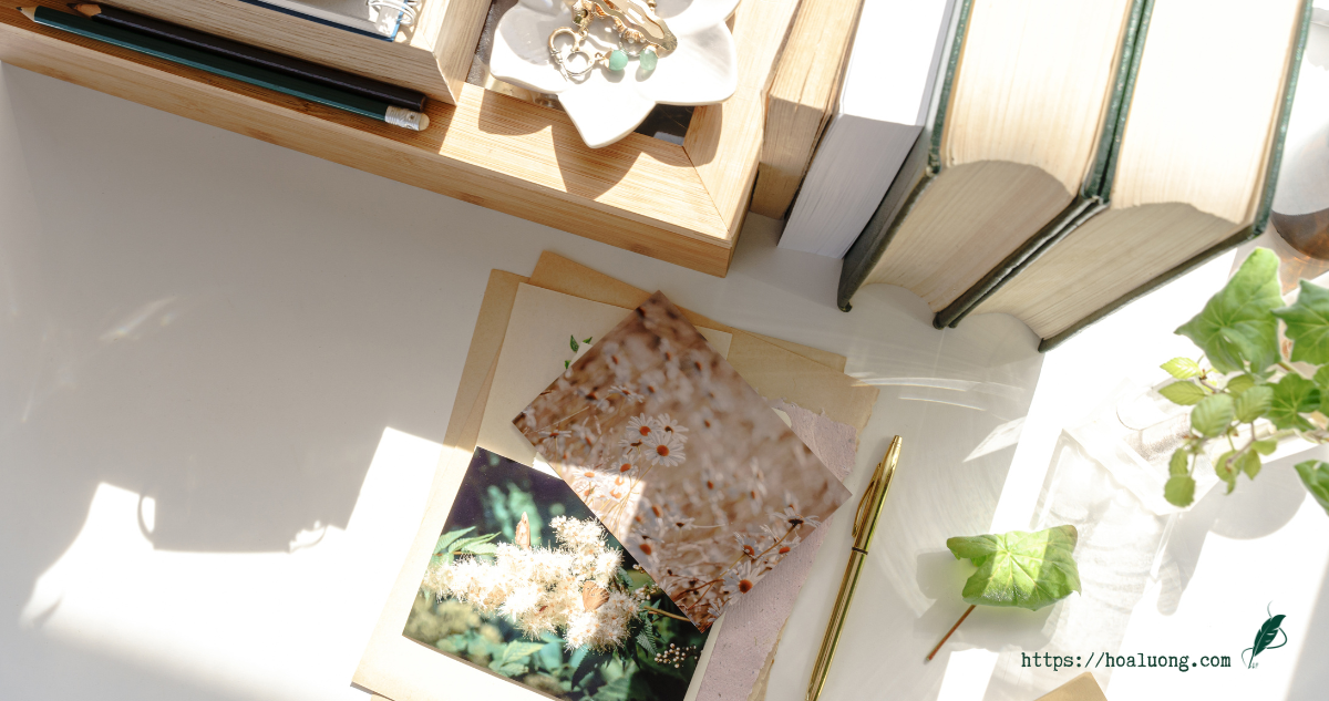 Tại sao nội dung dài vẫn được ưa chuộng trên Facebook?