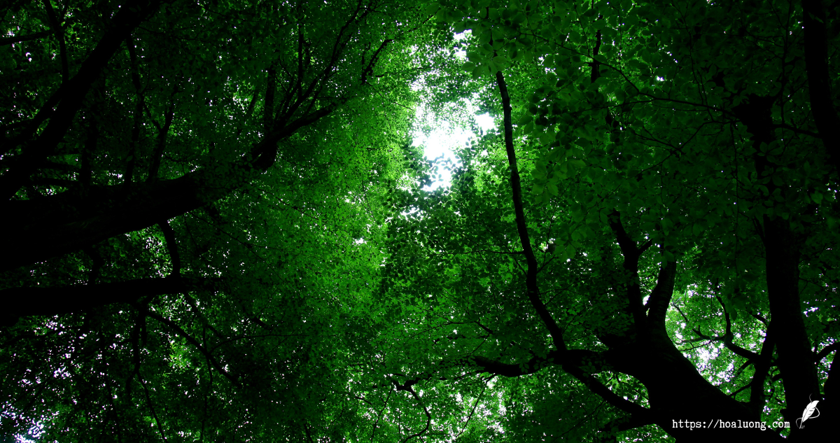 đền quán thánh Hà Nội