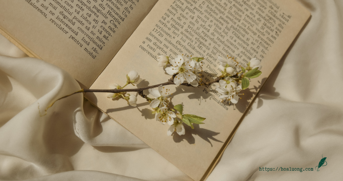 Mỗi bài viết là một món quà