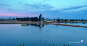 Tìm ngoại trong tóc pha sương
