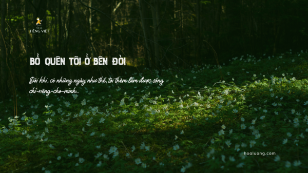 Bỏ quên tôi ở bên đời