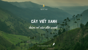 Cây viết xanh bám rễ vào đời xanh