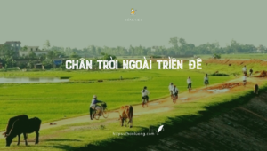 Chân trời ngoài triền đê