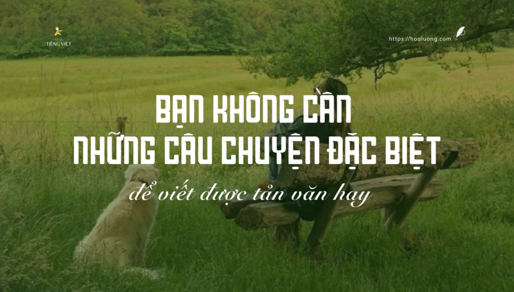 Bạn không cần những câu chuyện đặc biệt để viết được tản văn hay, chỉ cần biết cách để biến những điều bình thường trở nên đặc biệt trong con chữ của chính bạn.