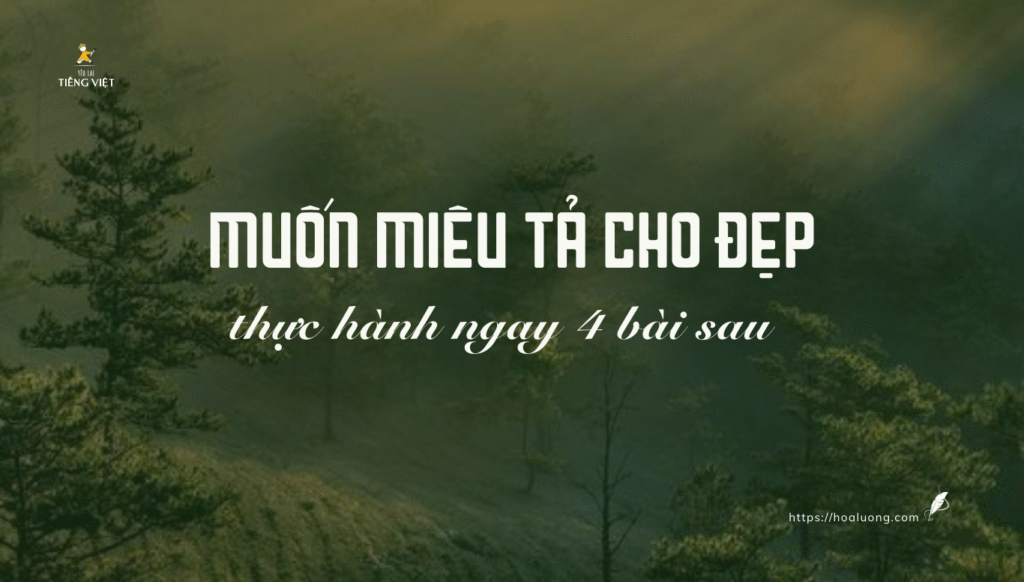 “Miêu tả chỉ là kiểu viết của học sinh tiểu học.” Mình đã sốc khi đọc câu này, còn bạn thì sao?