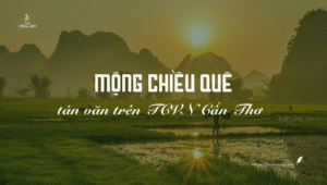 Mộng chiều quê - Tản văn hay về quê hương