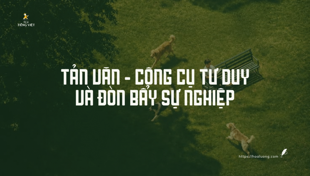 Tản văn - công cụ phát triển tư duy và đòn bẩy sự nghiệp.